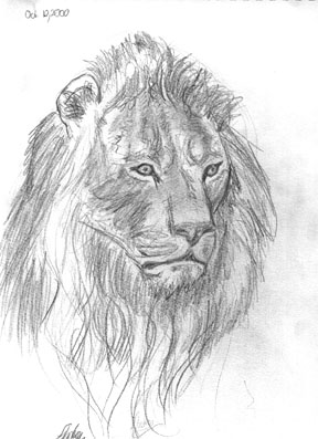 lion2.jpg