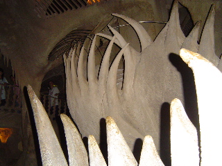 City Museum - 16.jpg