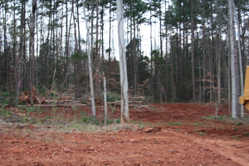 clearing-the-land.jpg