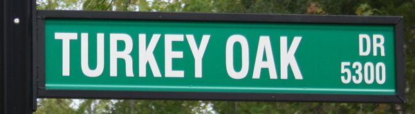 turkey-oak-drive.jpg