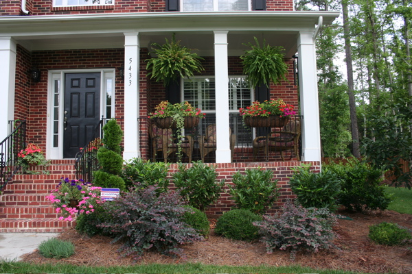 This is the front porch.  The Japanese Beetles tried to eat the ferns.