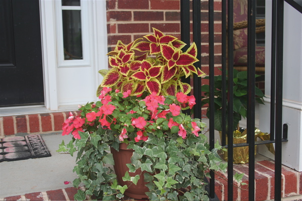 A pot on the front steps