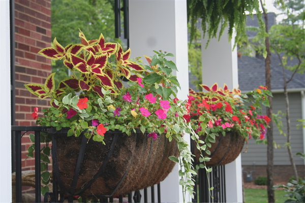 This is a close-up of the baskets on the porch railing.