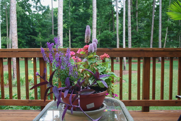 My pink & purple themed pot. :)