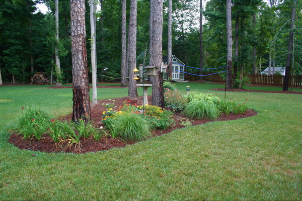 This is an island bed in our backyard. I transplanted much of this from the place where the simply wild roses are now.  Actually, this bed also has some of the roses in it - and some gold mound spirea.