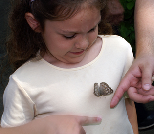 Linnea at the Chattanooga Acquarium