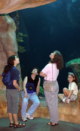 Chattanooga acquarium