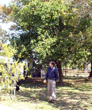 Our old house in Florida