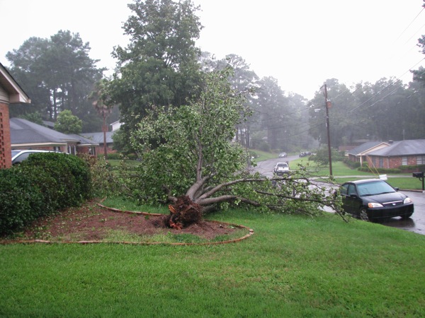 2013-07-14.Tree.Fall-02_small