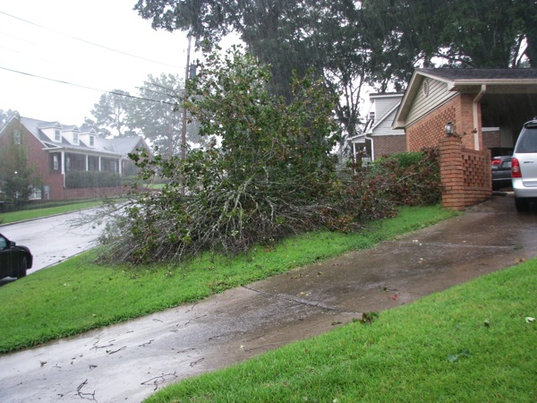 2013-07-14.Tree.Fall-10_small