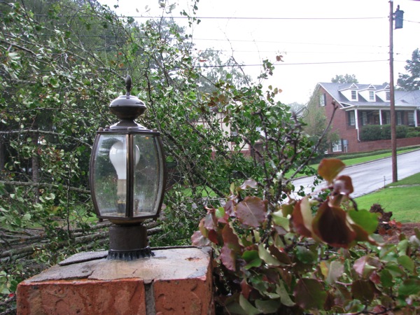 2013-07-14.Tree.Fall-15_small