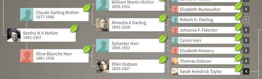 Figure 1. How we are related to the Taylors